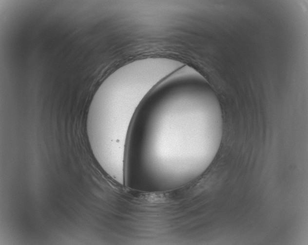 X0000064040384200601270938