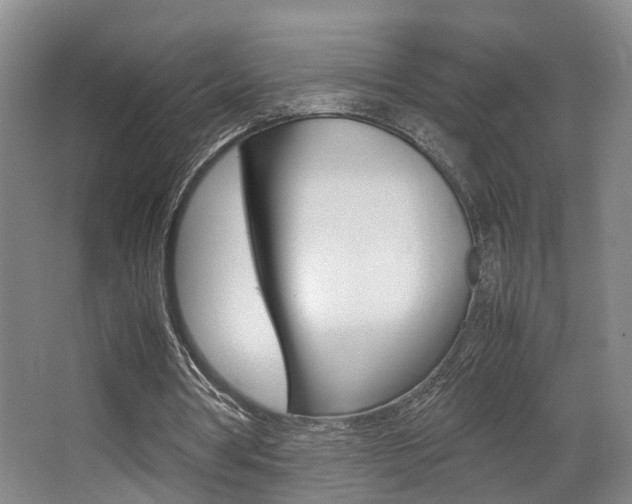 X0000064040386200601270938