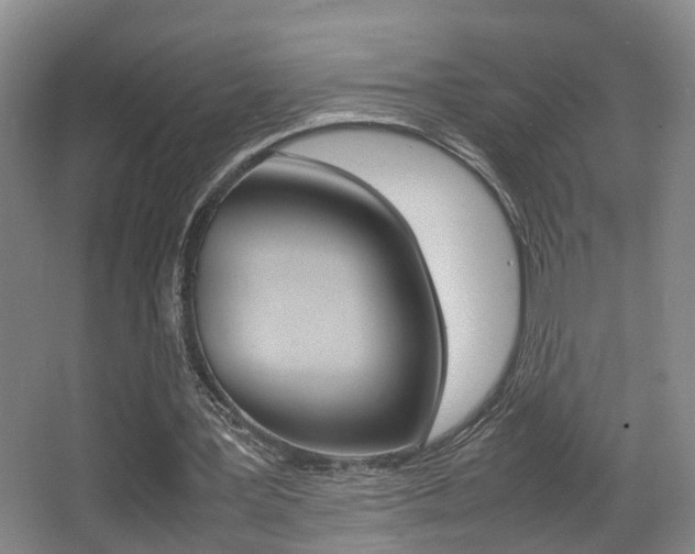 X0000064040387200601270938