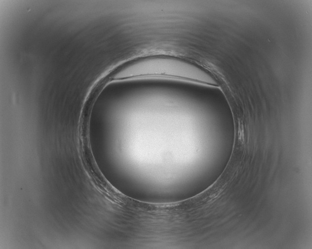 X0000064040388200601270938