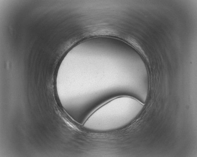 X0000064040389200601270938