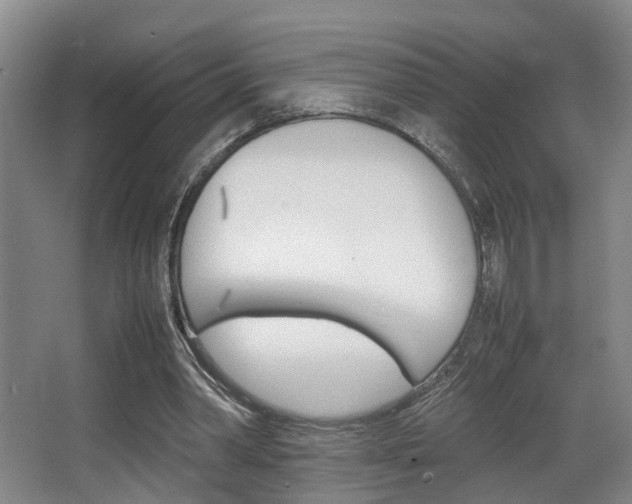 X0000064040390200601270938