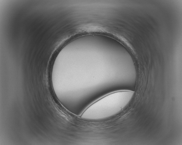 X0000064040391200601270938