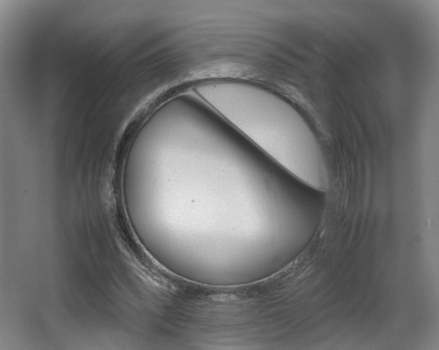 X0000064040392200601270938