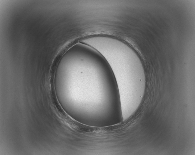 X0000064040395200601270938