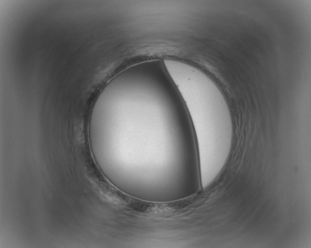 X0000064040403200601270937