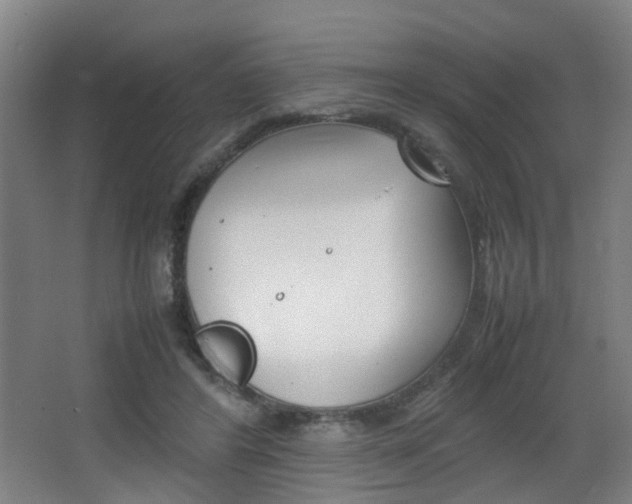 X0000064040404200601270937