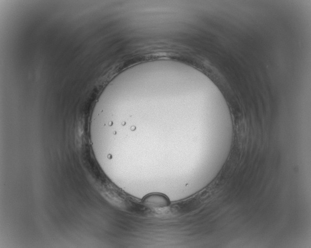 X0000064040406200601270937