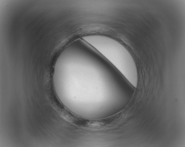 X0000064040407200601270937