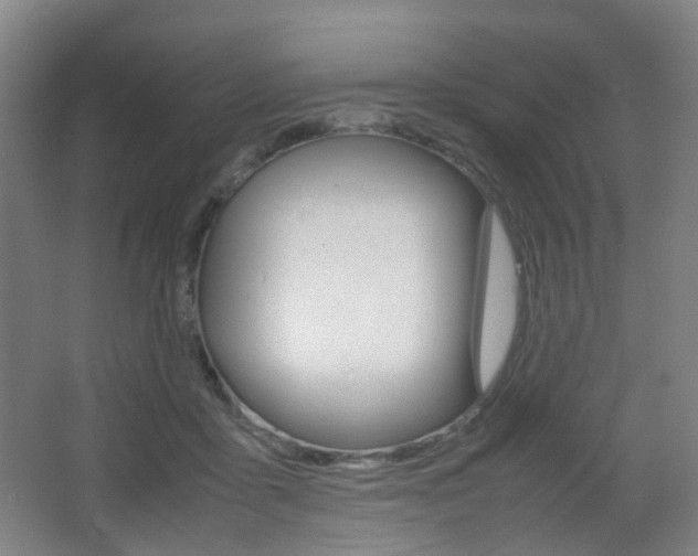 X0000064040411200601270937