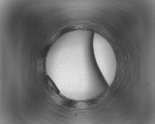 X0000064040413200601270937