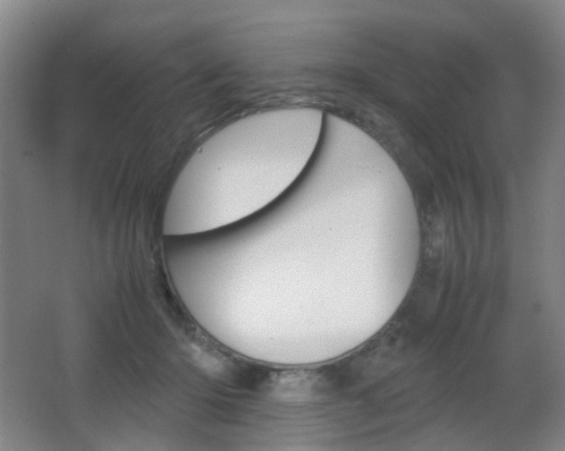 X0000064040414200601270937