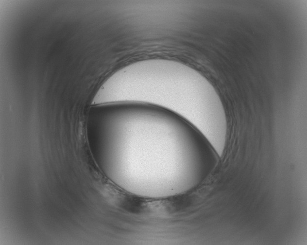 X0000064040417200601270937