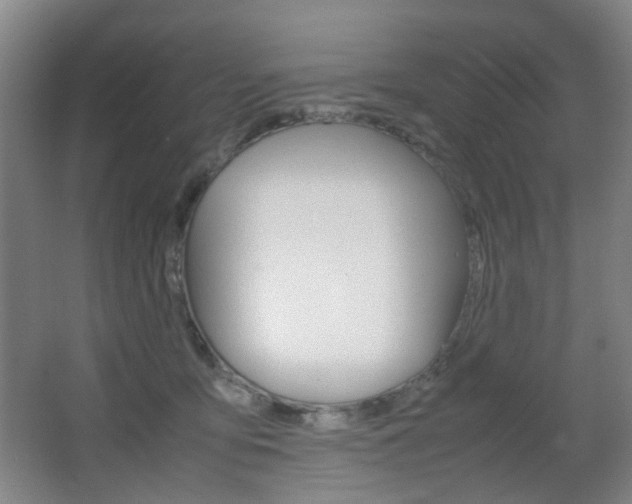 X0000064040419200601270937