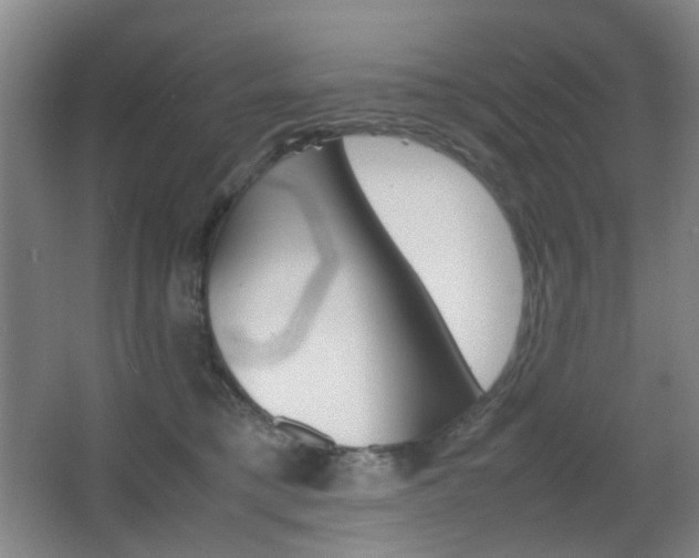 X0000064040421200601270937