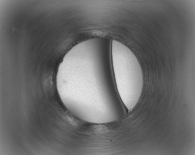 X0000064040424200601270937