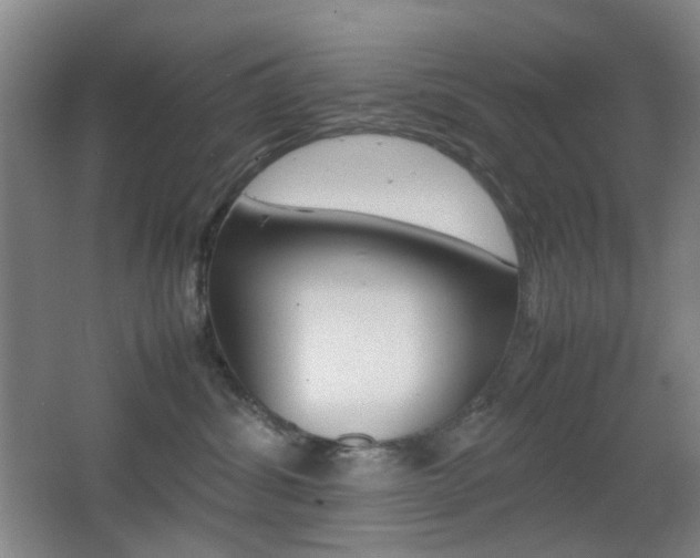 X0000064040428200601270937