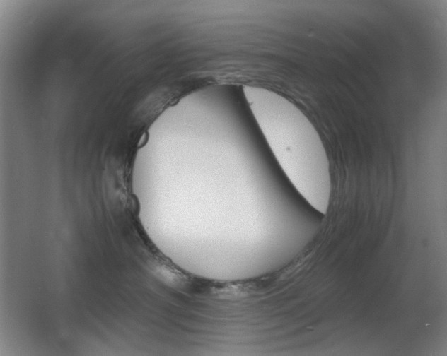 X0000064040430200601270937