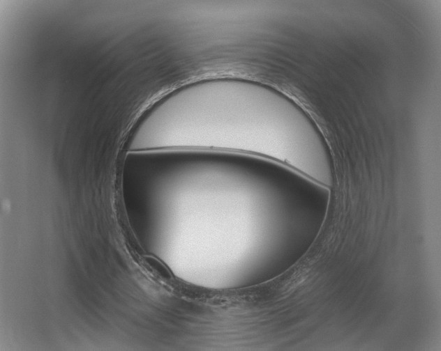 X0000064040434200601270936