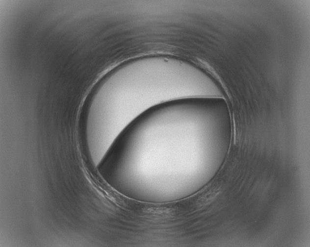 X0000064040435200601270936