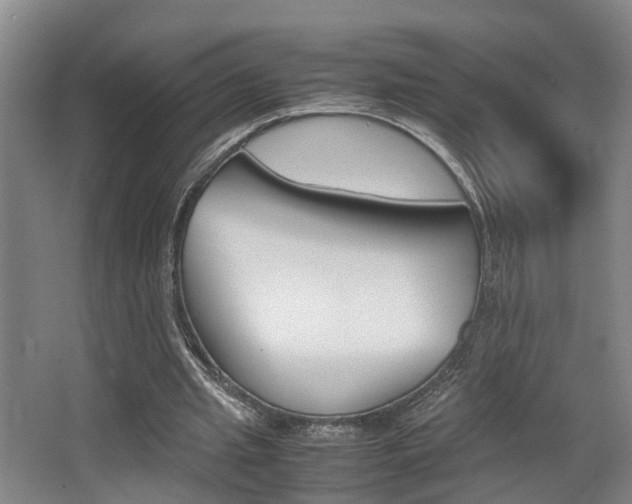 X0000064040437200601270936