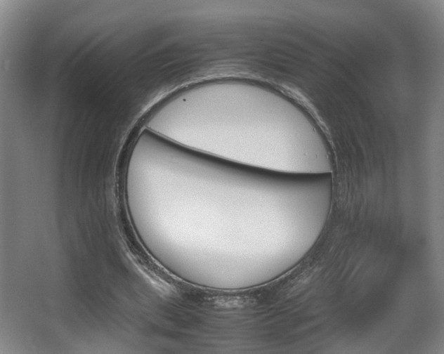 X0000064040439200601270936