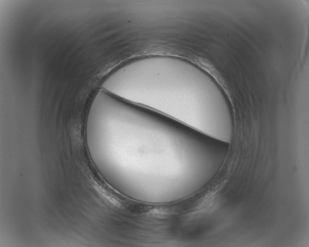 X0000064040441200601270936