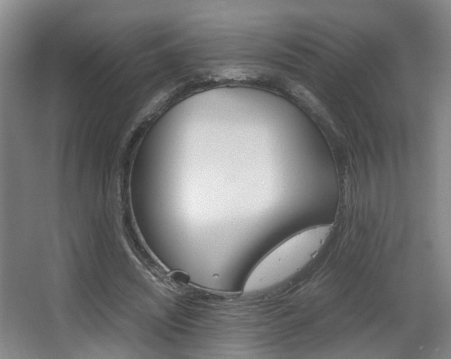 X0000064040444200601270936