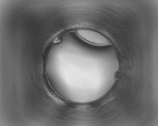 X0000064040446200601270936