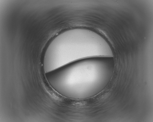 X0000064040447200601270936