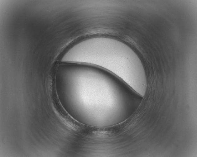 X0000064040448200601270936