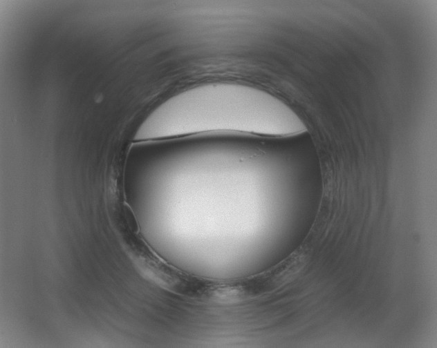 X0000064040456200601270936