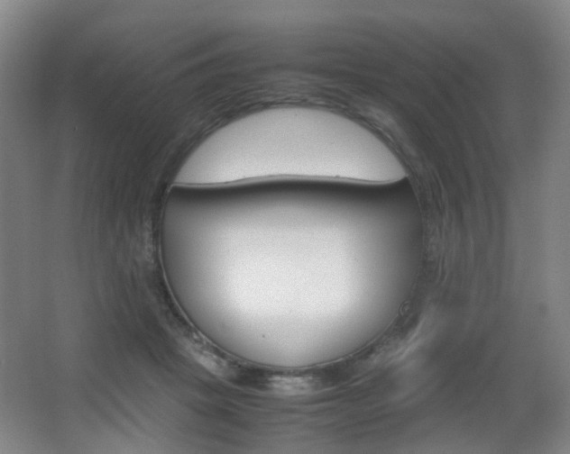 X0000064040457200601270936