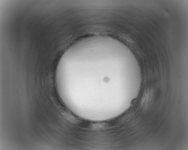 X0000064040461200601270937