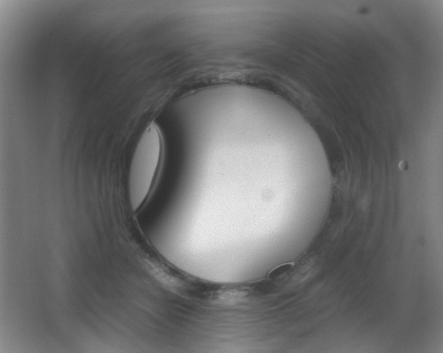 X0000064040462200601270937