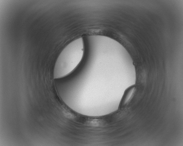 X0000064040467200601270937