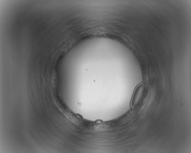 X0000064040468200601270937