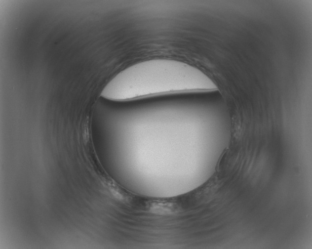 X0000064040471200601270937