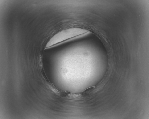 X0000064040480200601270937