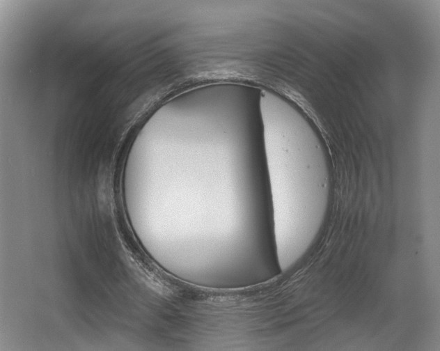 X0000064040482200601270936