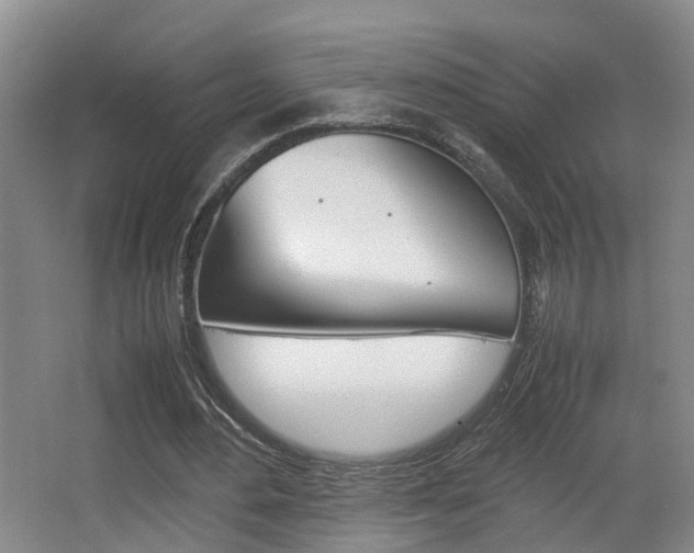 X0000064040484200601270936