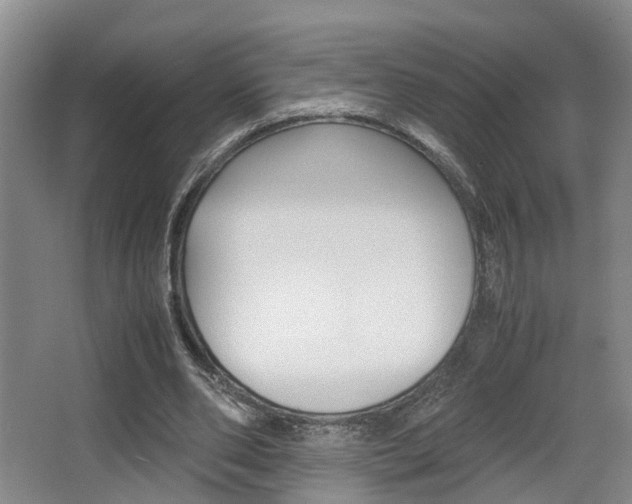 X0000064040486200601270936