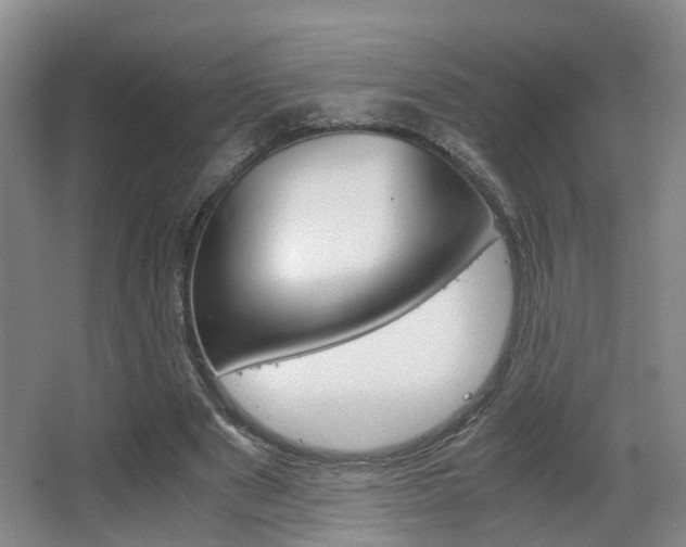 X0000064040489200601270936