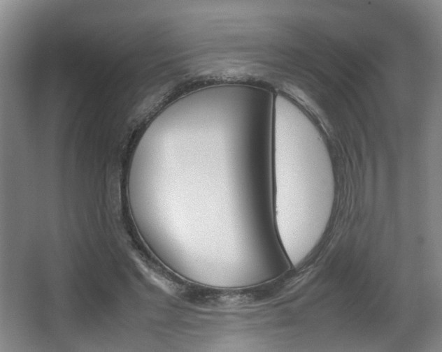 X0000064040493200601270936