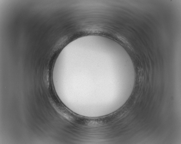 X0000064040494200601270936