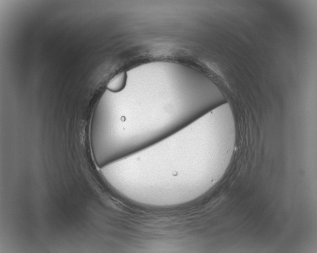 X0000064040495200601270936