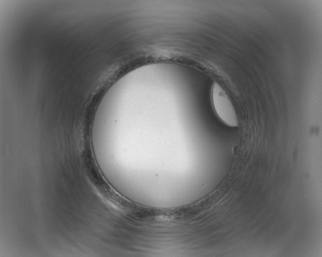 X0000064040496200601270936
