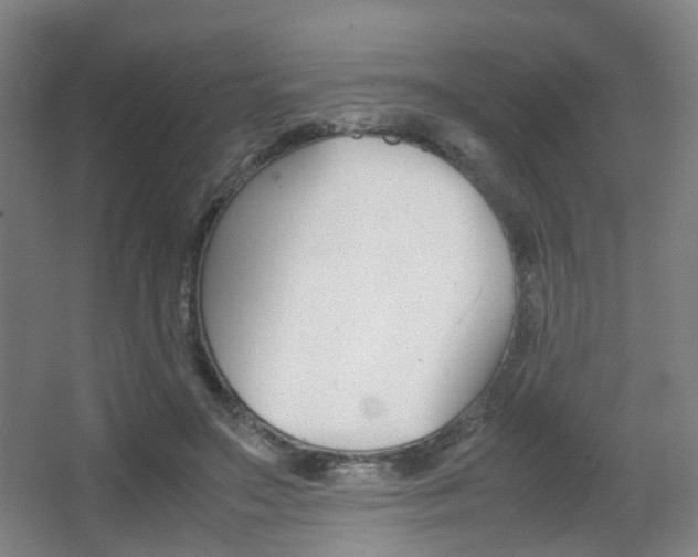 X0000064040499200601270936