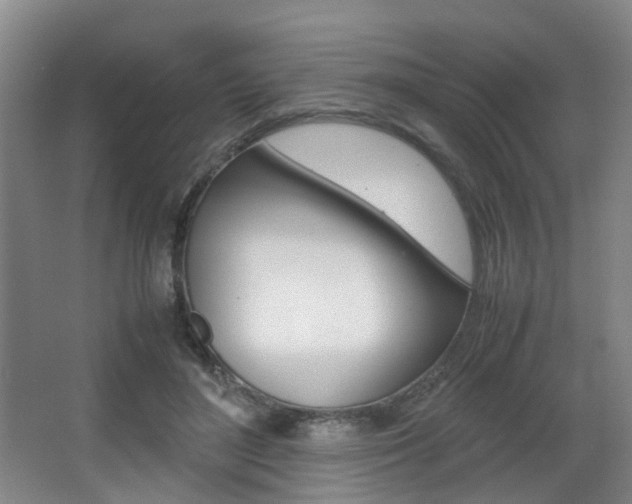 X0000064040500200601270936