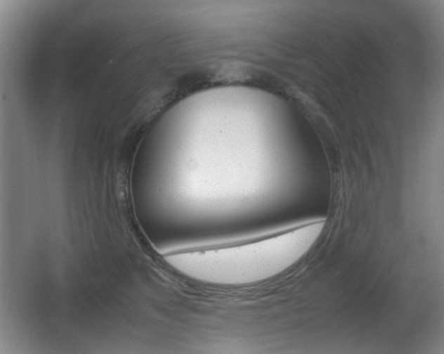 X0000064040517200601270935